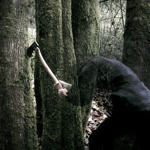 Bushcraft