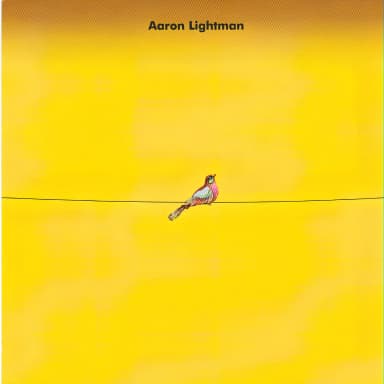 Aaron Lightman