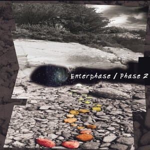 Phase 2