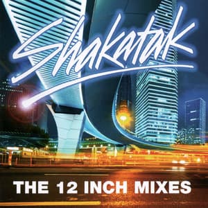 The 12 Inch Mixes