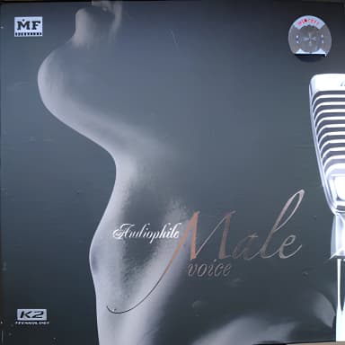 Audiophile Male Voice