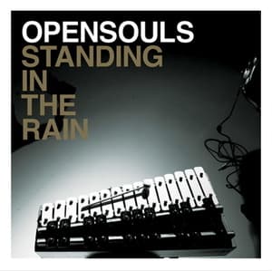 Standing In The Rain