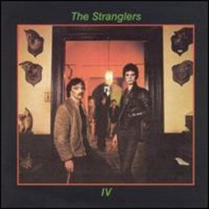 Iv - Rattus Norvegicus