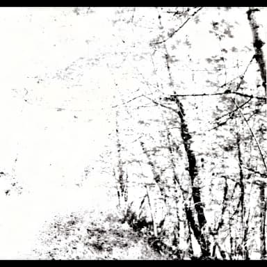The White EP