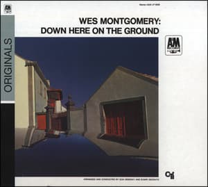 Down Here On The Ground