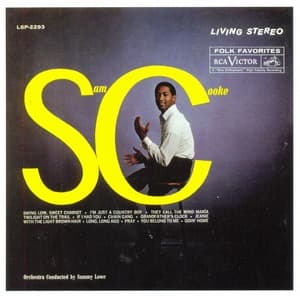 Swing Low
