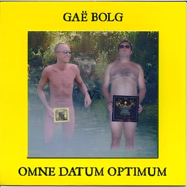 Gae Bolg vs. Omne Datum Optimum