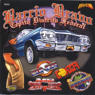 Bravo Hits Vol1