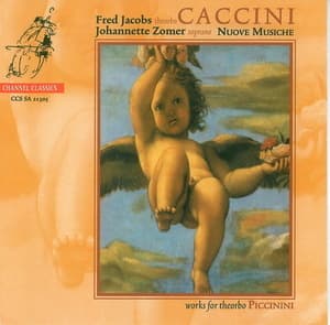 Nuove Musiche - Theorbo