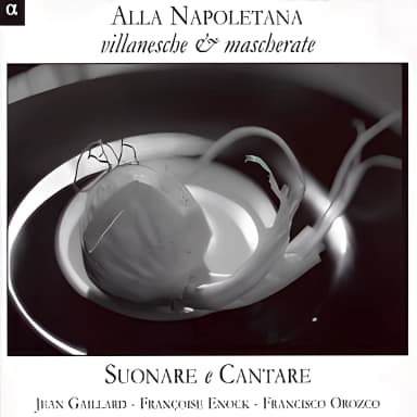 Suonare e Cantare