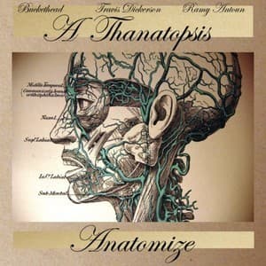 Anatomize