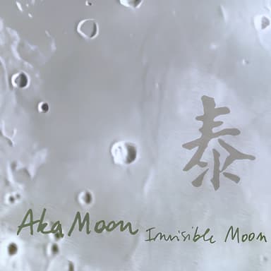 Invisible Moon