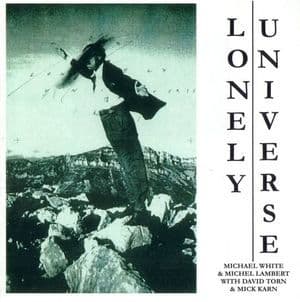 Lonely Universe