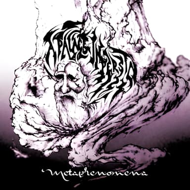 Metaphenomena