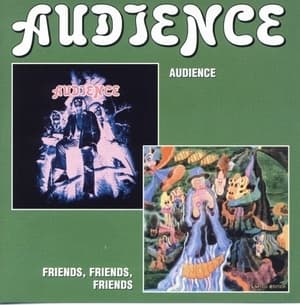 Audience-friends,friends,friends