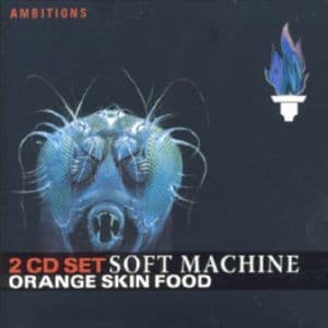 Orange Skin Food