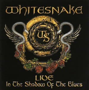 Live In The Shadow Of The Blues (CD 2)