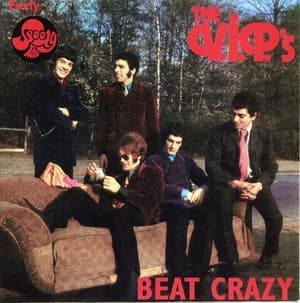Beat Crazy