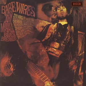 Bare Wires
