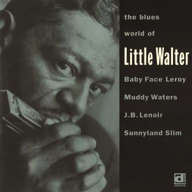 The Blues World Of Little Walter