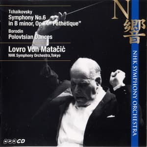 Tchaikovsky - Symphony No.6 'pathetique'