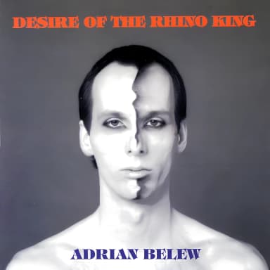 Desire Of The Rhino King