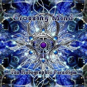 The Holographic Paradigm