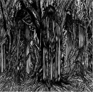 Solstitium Fulminate - Live At Roskilde 2005