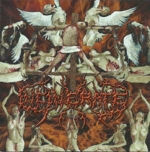 Dissecting The Angels