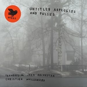 Untitled Arpeggios And Pulses