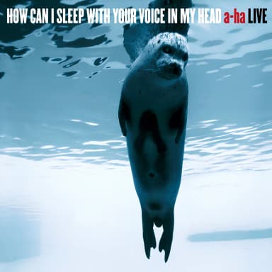 How Can I Sleep With Your Voice In My Head