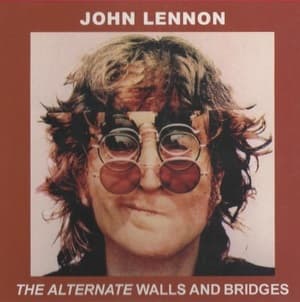 The Alternate Walls And Bridges