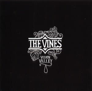 Vision Valley