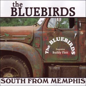 South From Memphis
