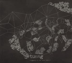 Comments Of The Inner Chorus (special Edition)