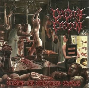 Smashed And Splattered Organs