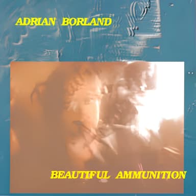 Beautiful Ammunition