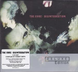 Disintegration