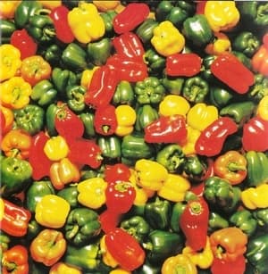 White Pepper
