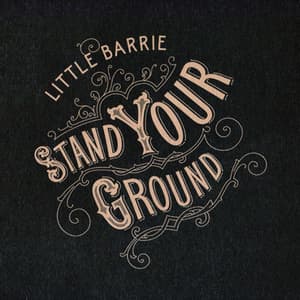 Sstand Your Ground