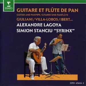 Guitare Et Flute De Pan