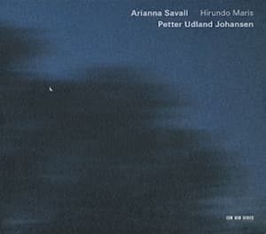 Hirundo Maris
