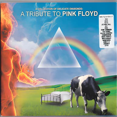 A Collection of Delicate Diamonds - A Tribute to Pink Floyd