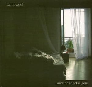 ...and The Angel Is Gone