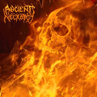 Ancient Necropsy