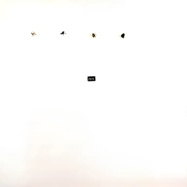 Split Series #4
