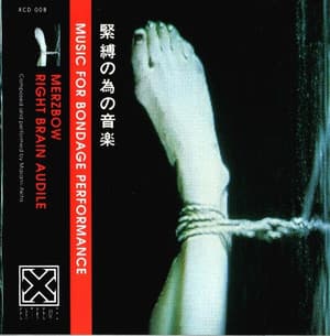 Music For Bondage Performance