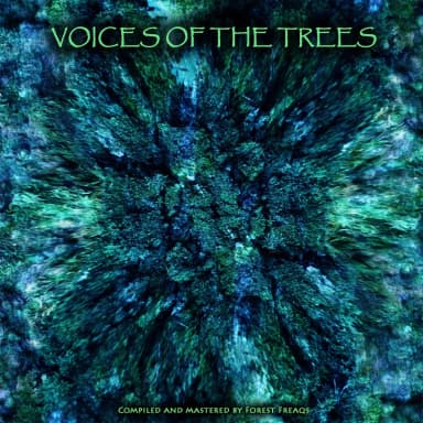 Woman Trance Voices 10