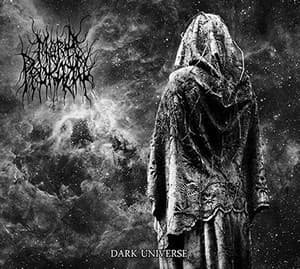 Dark Universe