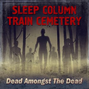 Dead Amongst The Dead